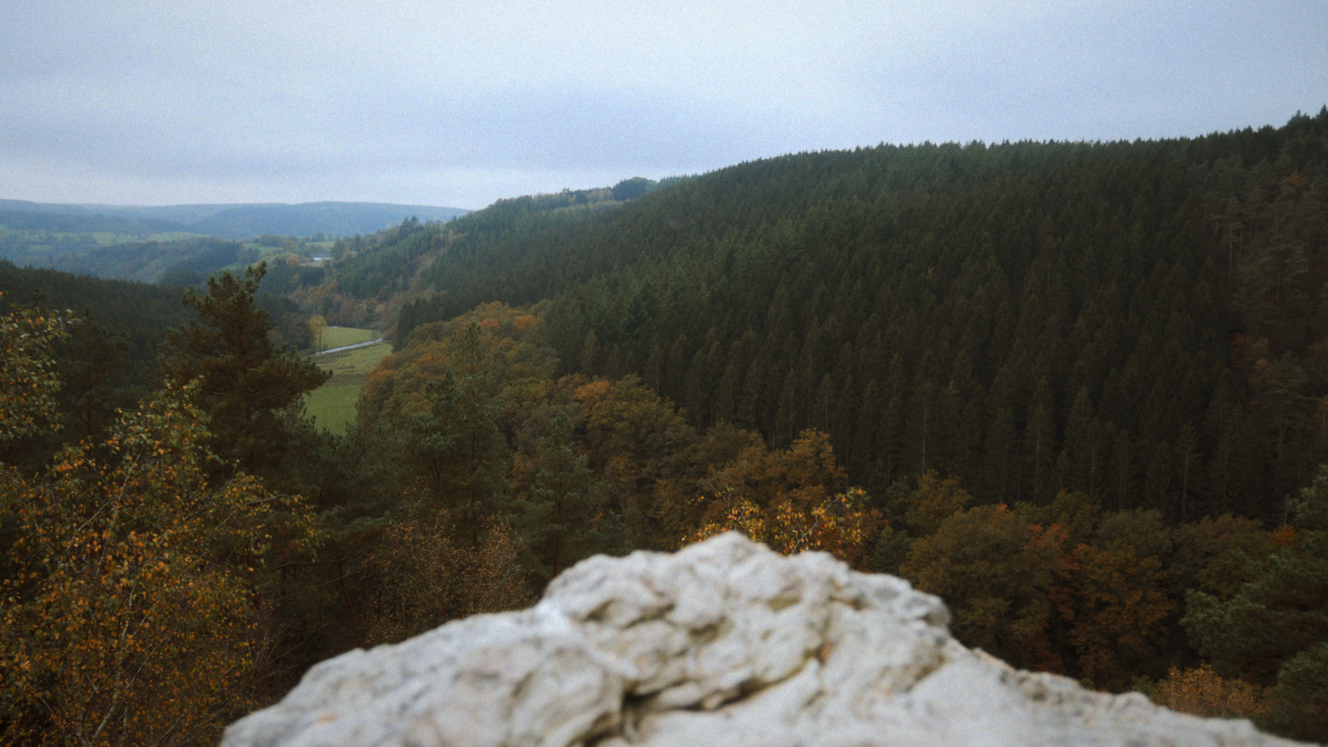 Nature Photography